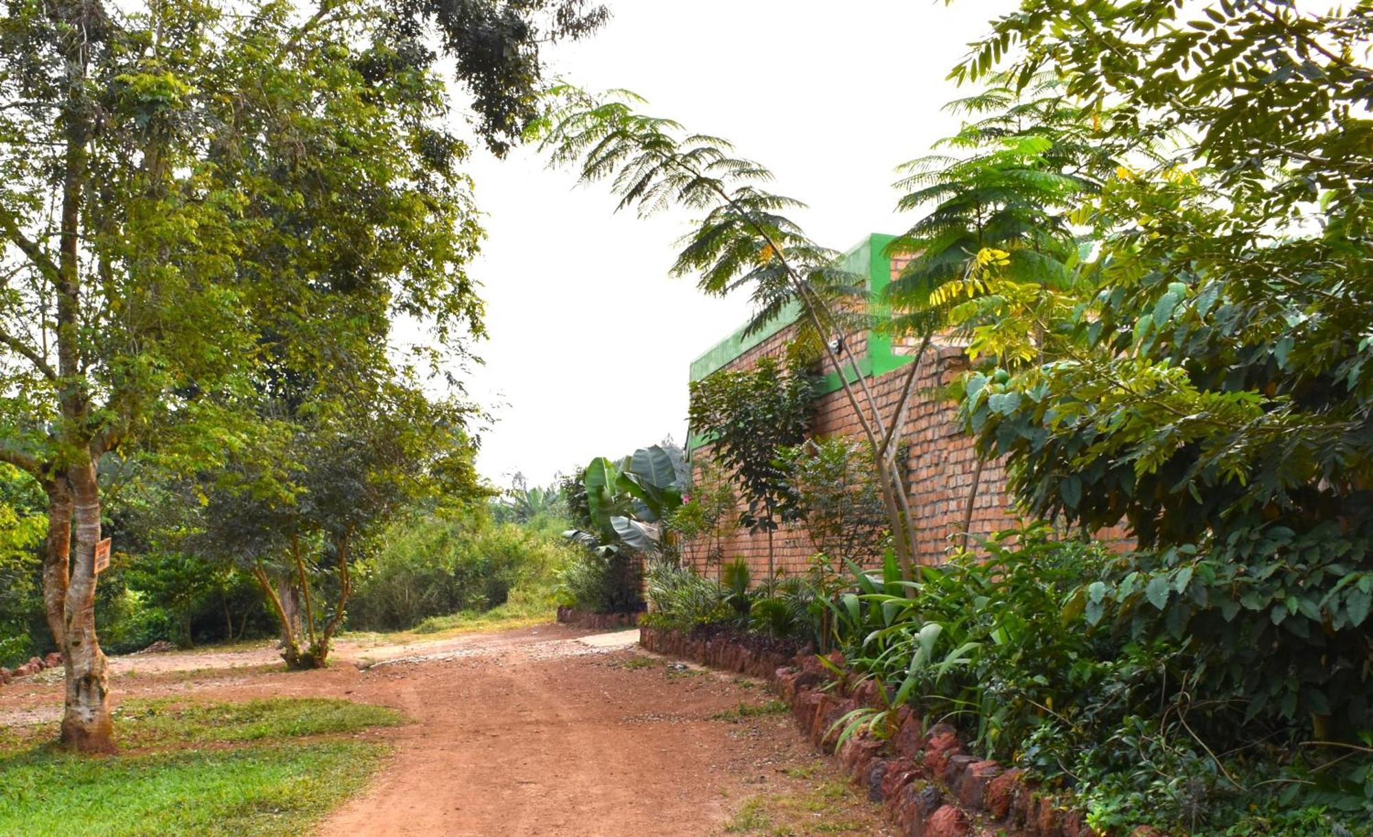 Iziba Lodge Hoima Exterior foto